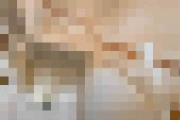 Verlorenhoek 2 A Wanroij thumbnail 10