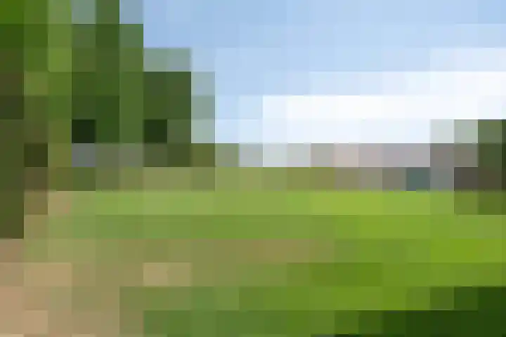 Verlorenhoek 2 A Wanroij thumbnail 100