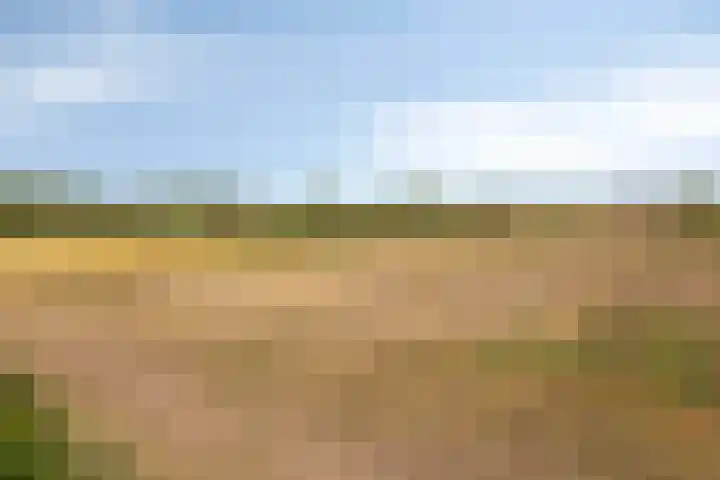 Verlorenhoek 2 A Wanroij thumbnail 112