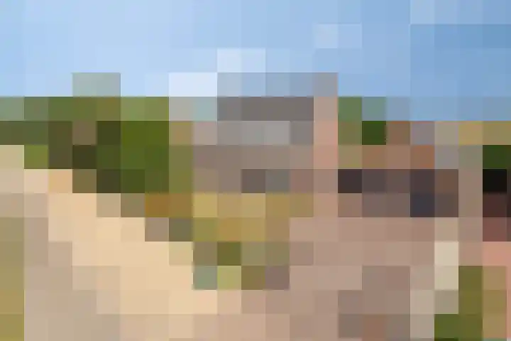 Verlorenhoek 2 A Wanroij thumbnail 113