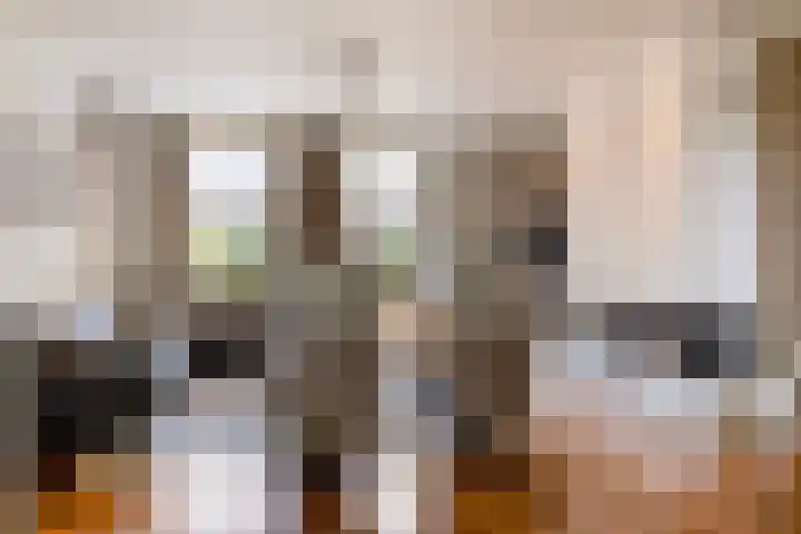 Verlorenhoek 2 A Wanroij thumbnail 13