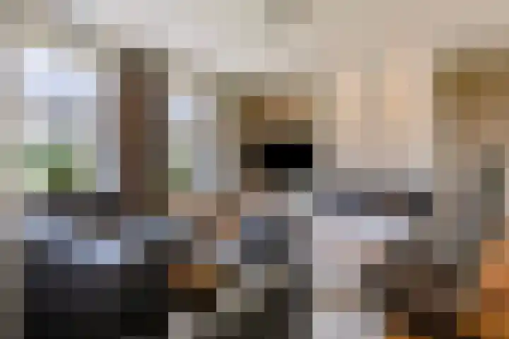 Verlorenhoek 2 A Wanroij thumbnail 15
