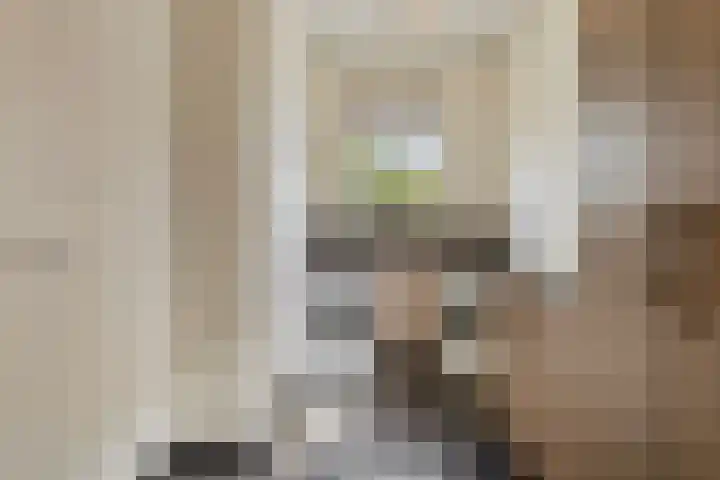Verlorenhoek 2 A Wanroij thumbnail 27