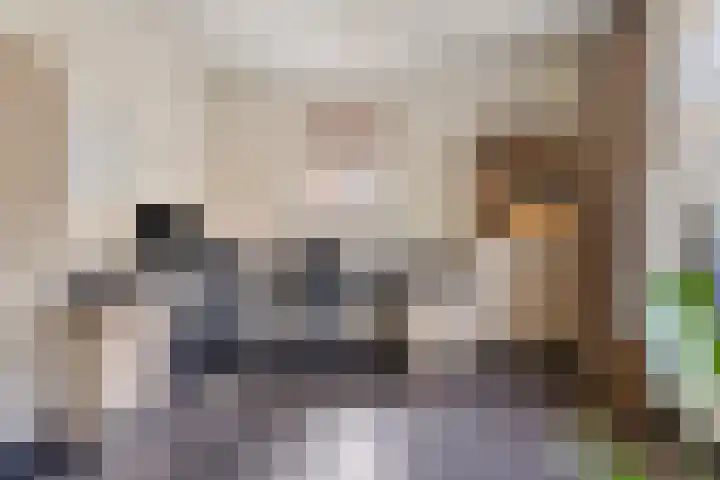 Verlorenhoek 2 A Wanroij thumbnail 30