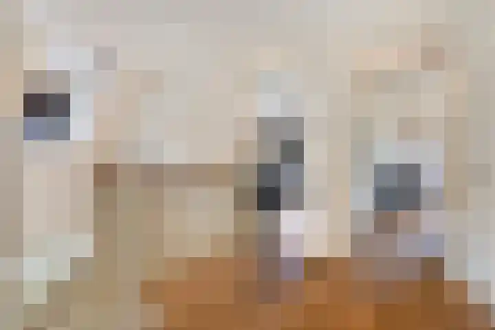 Verlorenhoek 2 A Wanroij thumbnail 35