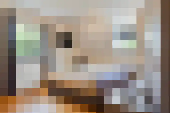 Verlorenhoek 2 A Wanroij thumbnail 36