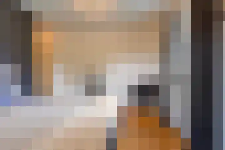 Verlorenhoek 2 A Wanroij thumbnail 37