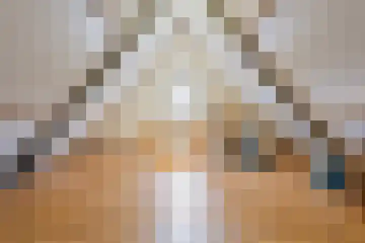 Verlorenhoek 2 A Wanroij thumbnail 53