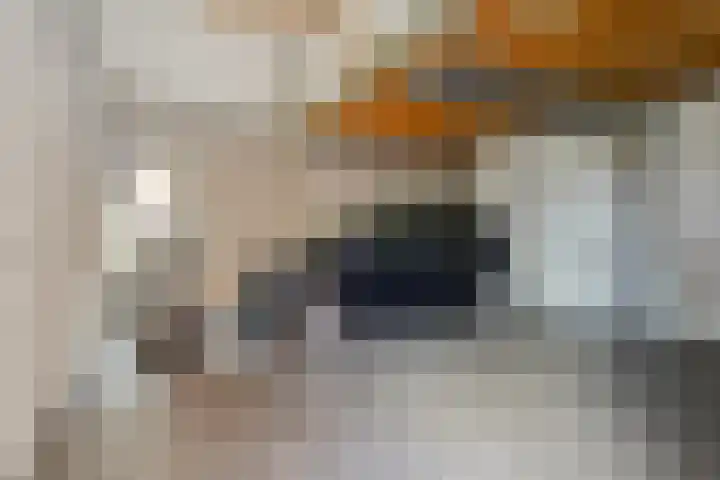 Verlorenhoek 2 A Wanroij thumbnail 58