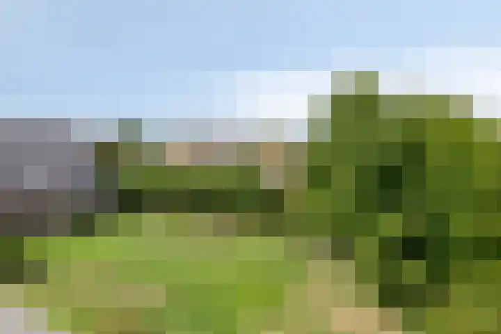 Verlorenhoek 2 A Wanroij thumbnail 69