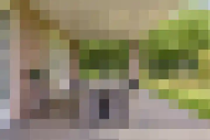 Verlorenhoek 2 A Wanroij thumbnail 73