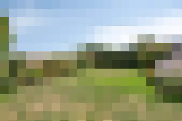 Verlorenhoek 2 A Wanroij thumbnail 92