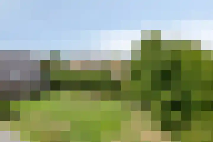 Verlorenhoek 2 A Wanroij thumbnail 95