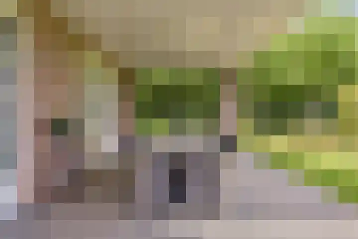 Verlorenhoek 2 A Wanroij thumbnail 98