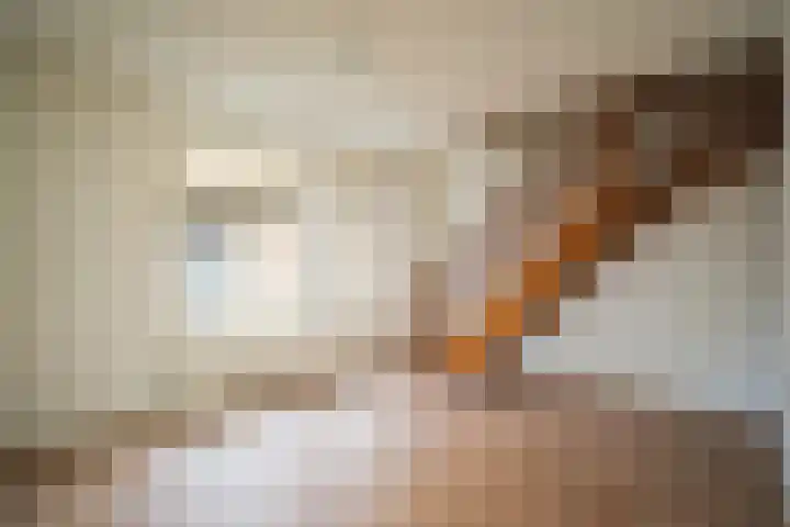 Verlorenkost 1 Oosterend thumbnail 4