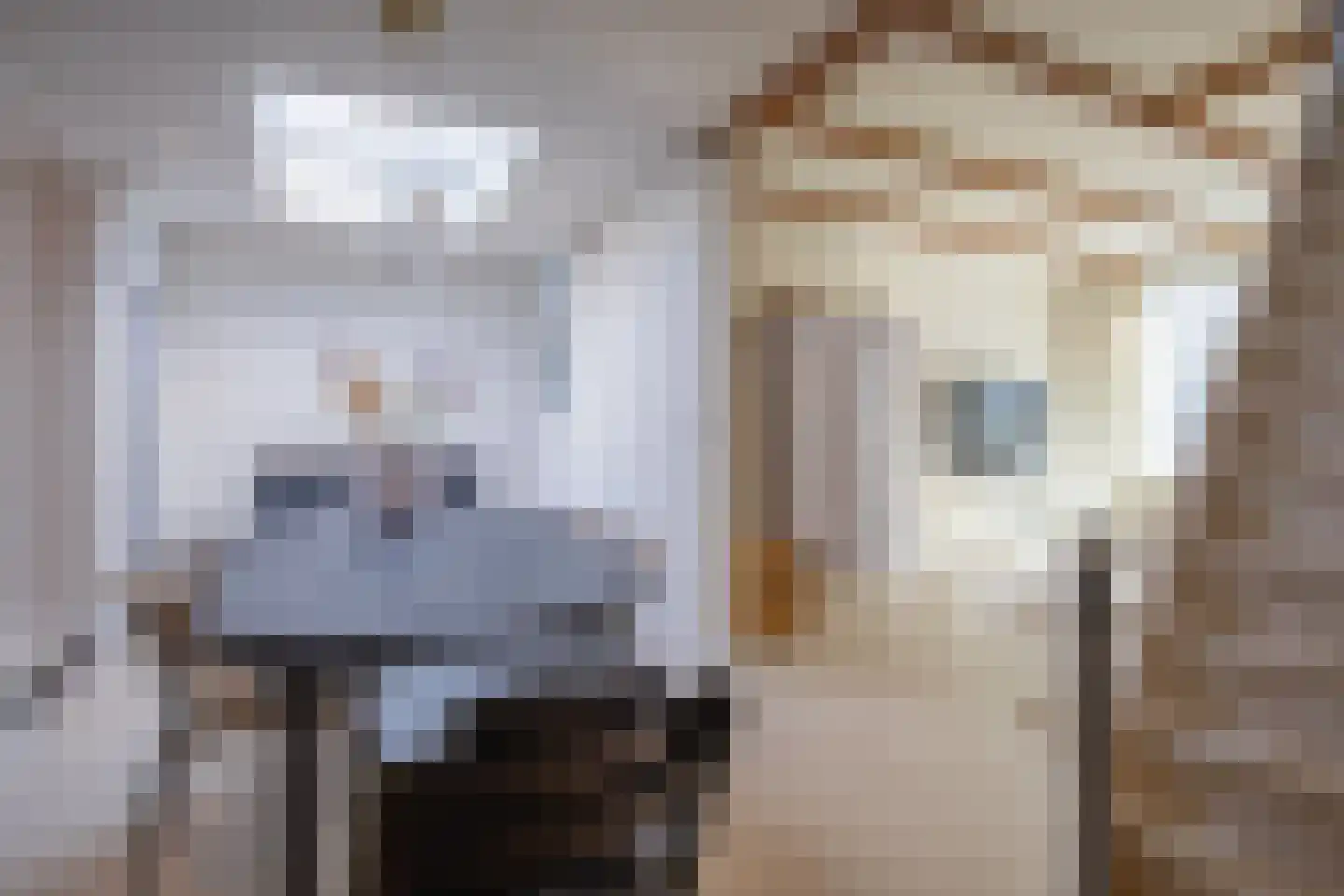 Verlorenkost 7 Oosterend thumbnail 6