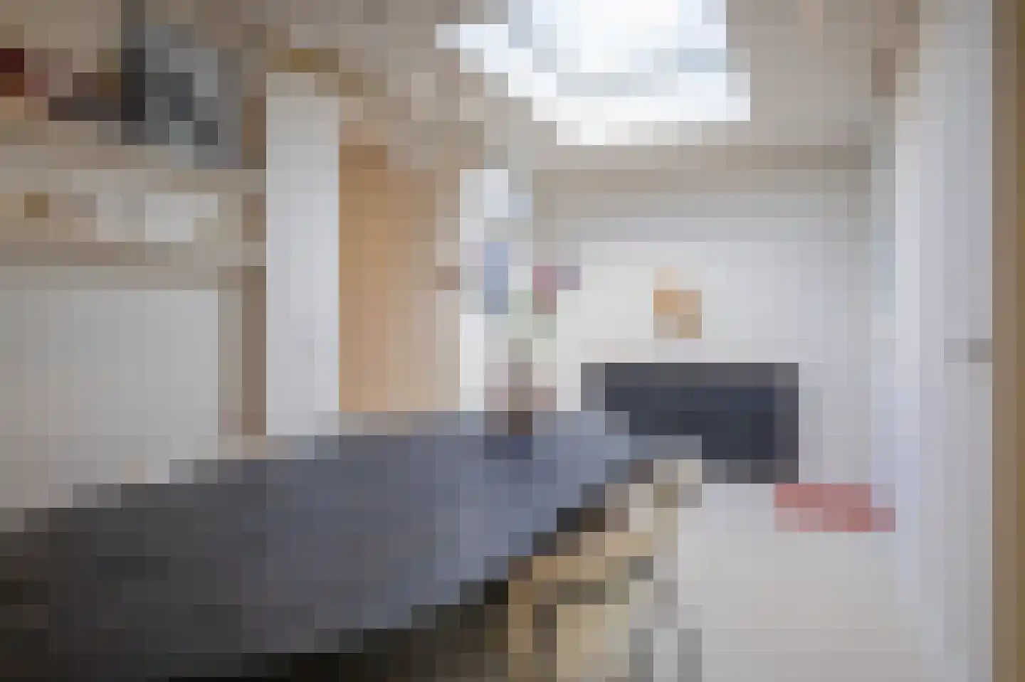 Verlorenkost 7 Oosterend thumbnail 7