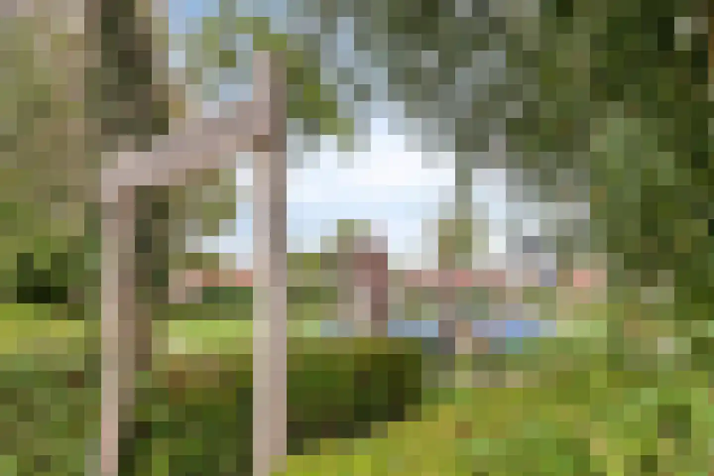 Vermaetweg 38 Pernis Rotterdam thumbnail 34