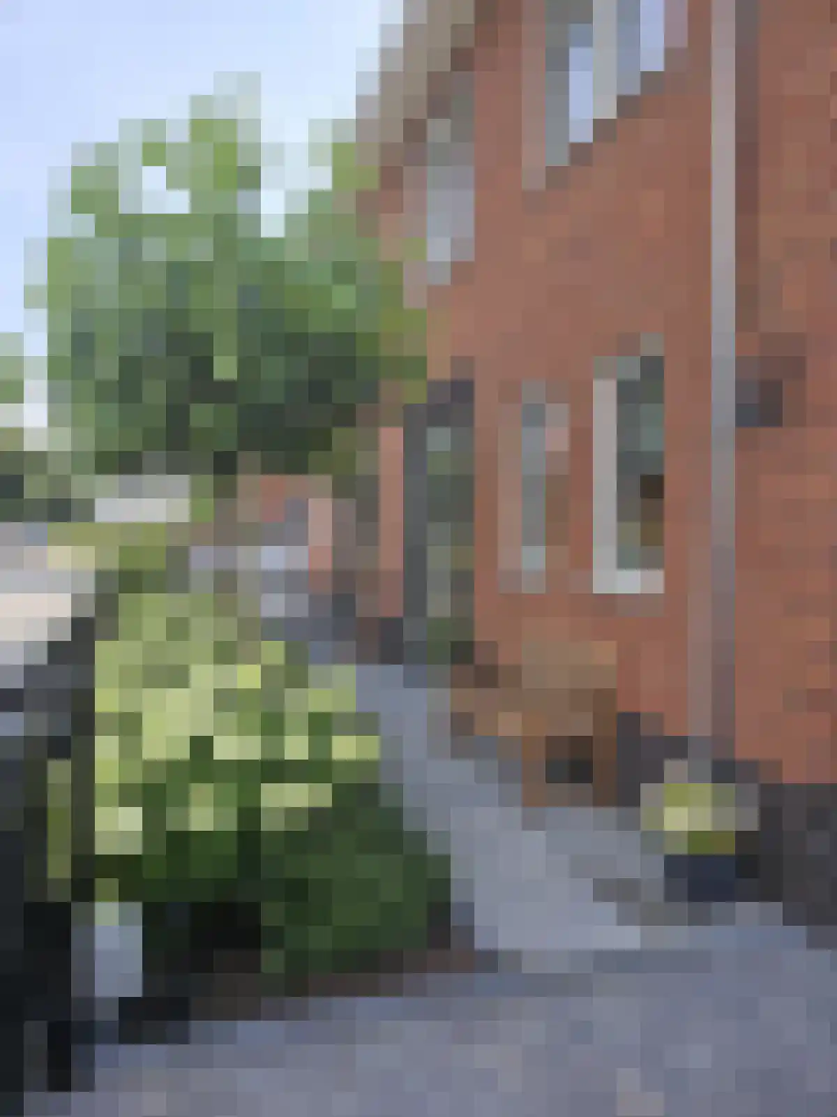 Vermaetweg 81 Pernis Rotterdam thumbnail 54