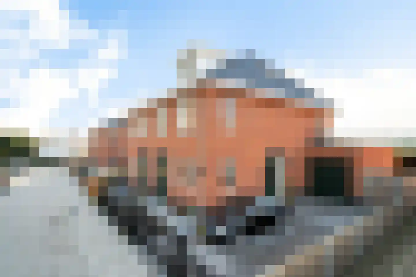Vermaetweg 81 Pernis Rotterdam thumbnail 9