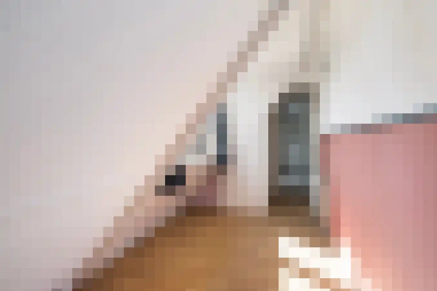 Vermaningsstrjitte 2 Berltsum thumbnail 29