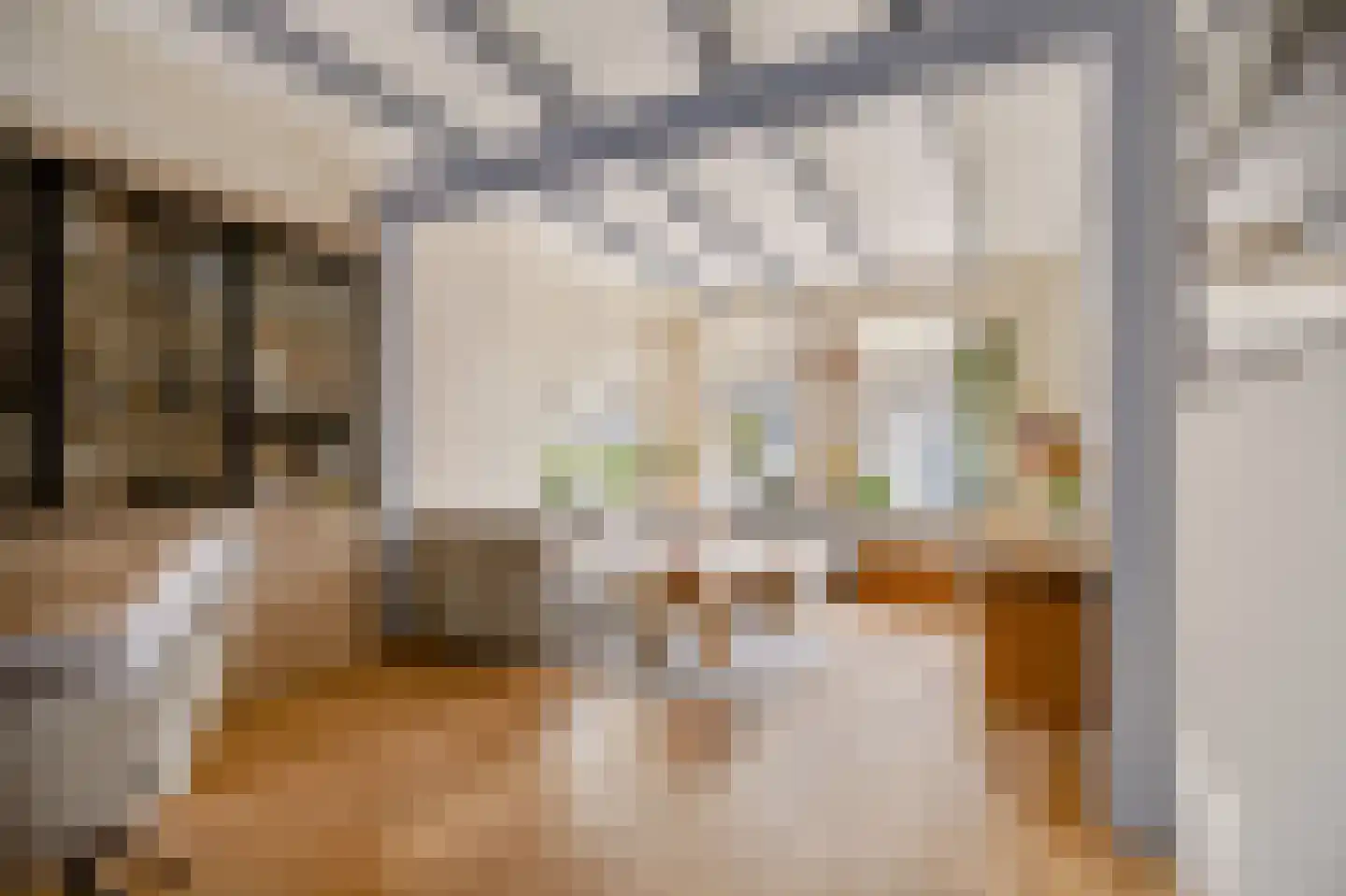 Vermaningsteeg 2 Hippolytushoef thumbnail 10