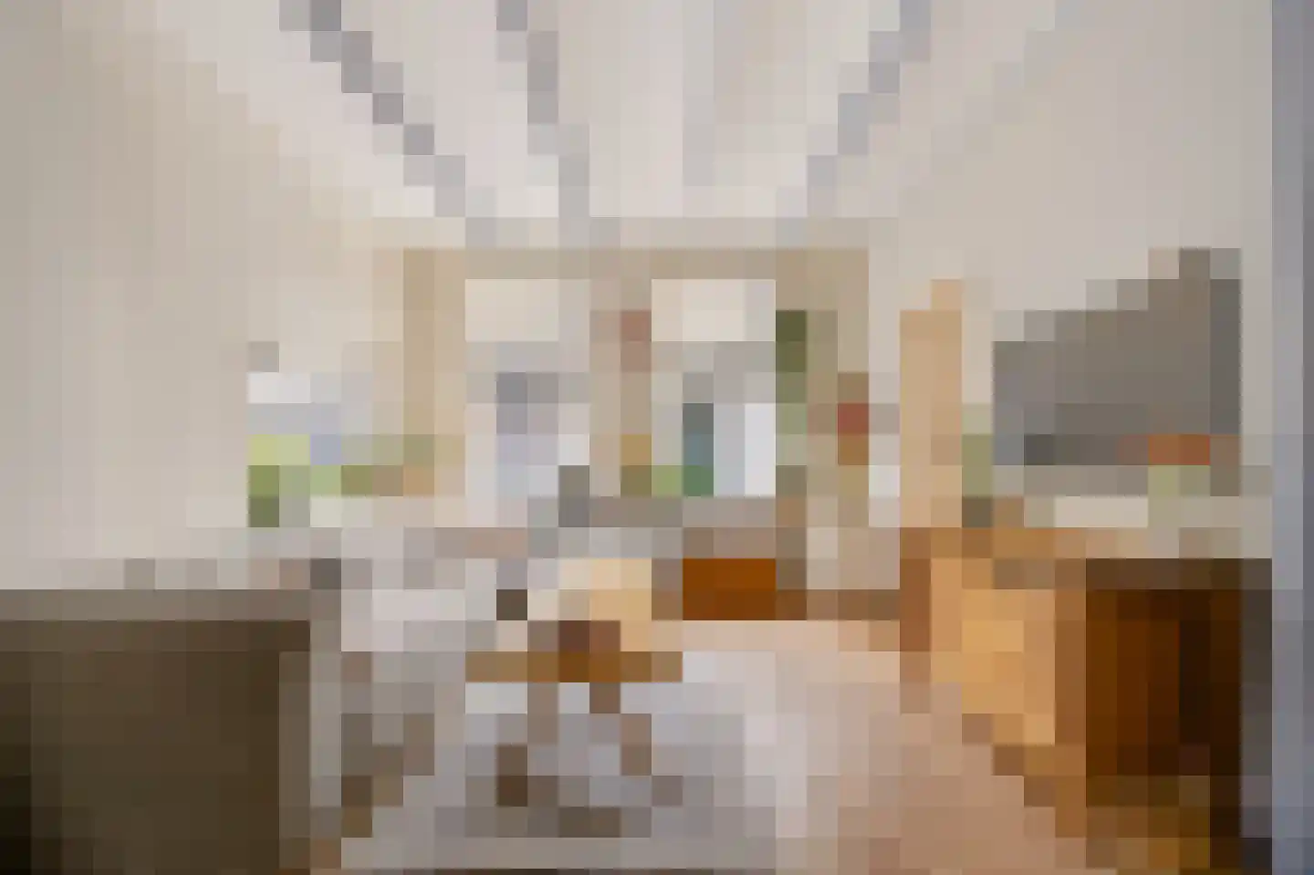 Vermaningsteeg 2 Hippolytushoef thumbnail 11