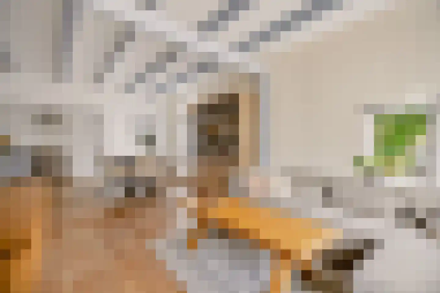Vermaningsteeg 2 Hippolytushoef thumbnail 12