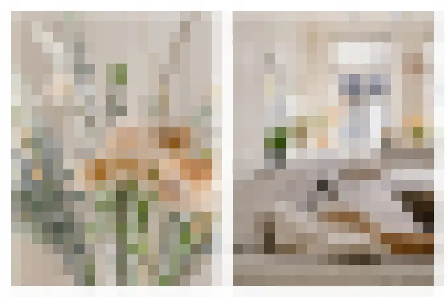 Vermaningsteeg 2 Hippolytushoef thumbnail 13