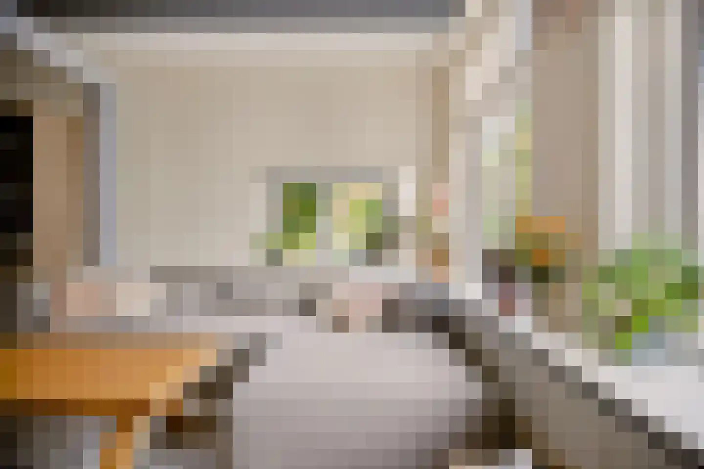 Vermaningsteeg 2 Hippolytushoef thumbnail 14