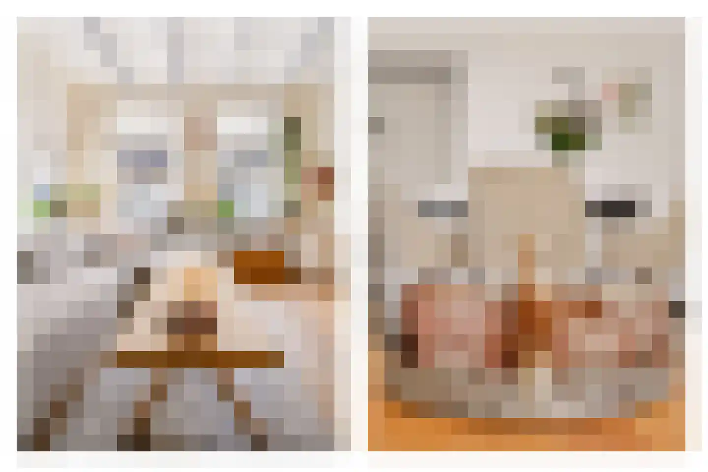 Vermaningsteeg 2 Hippolytushoef thumbnail 15