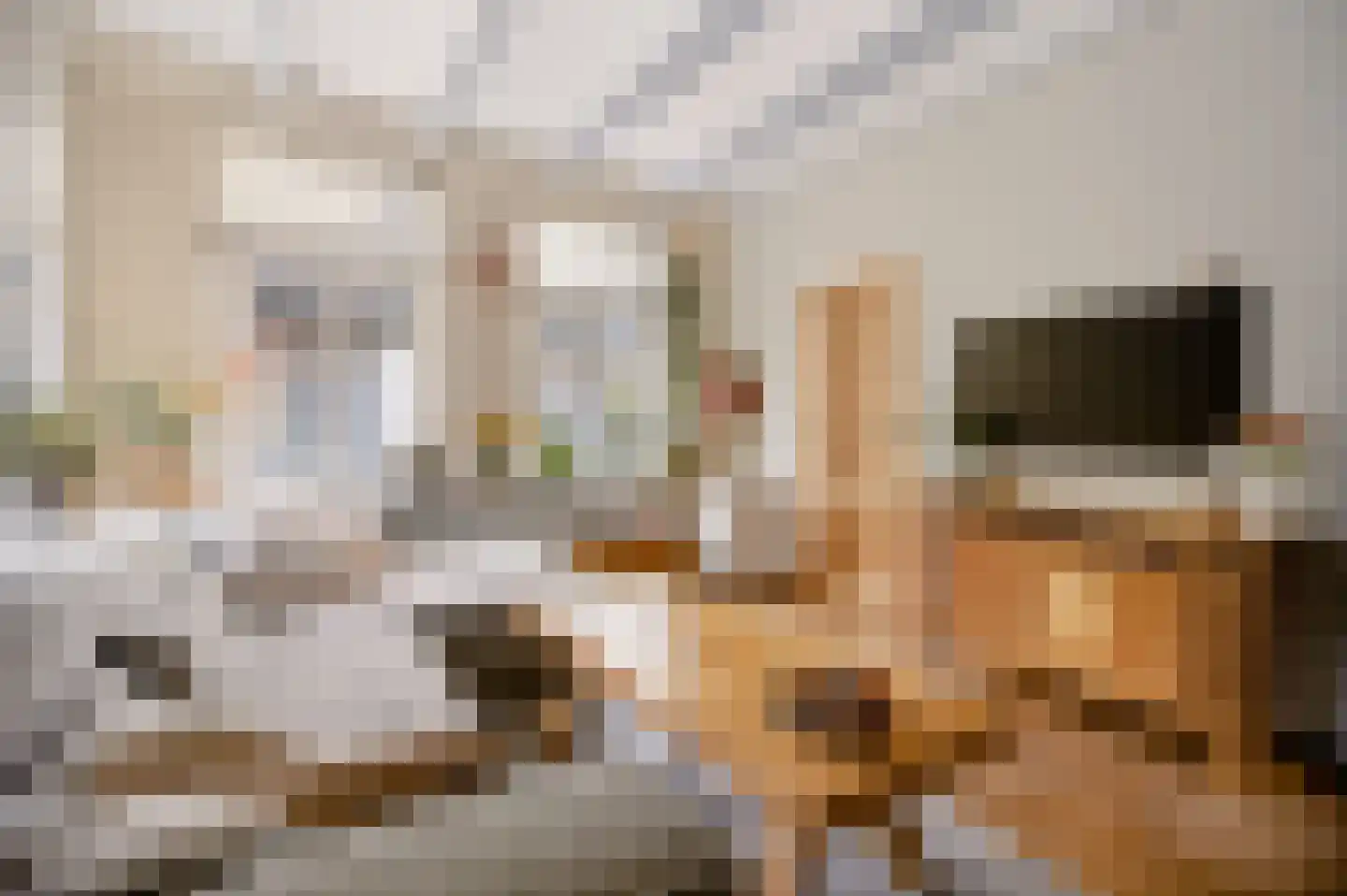 Vermaningsteeg 2 Hippolytushoef thumbnail 16
