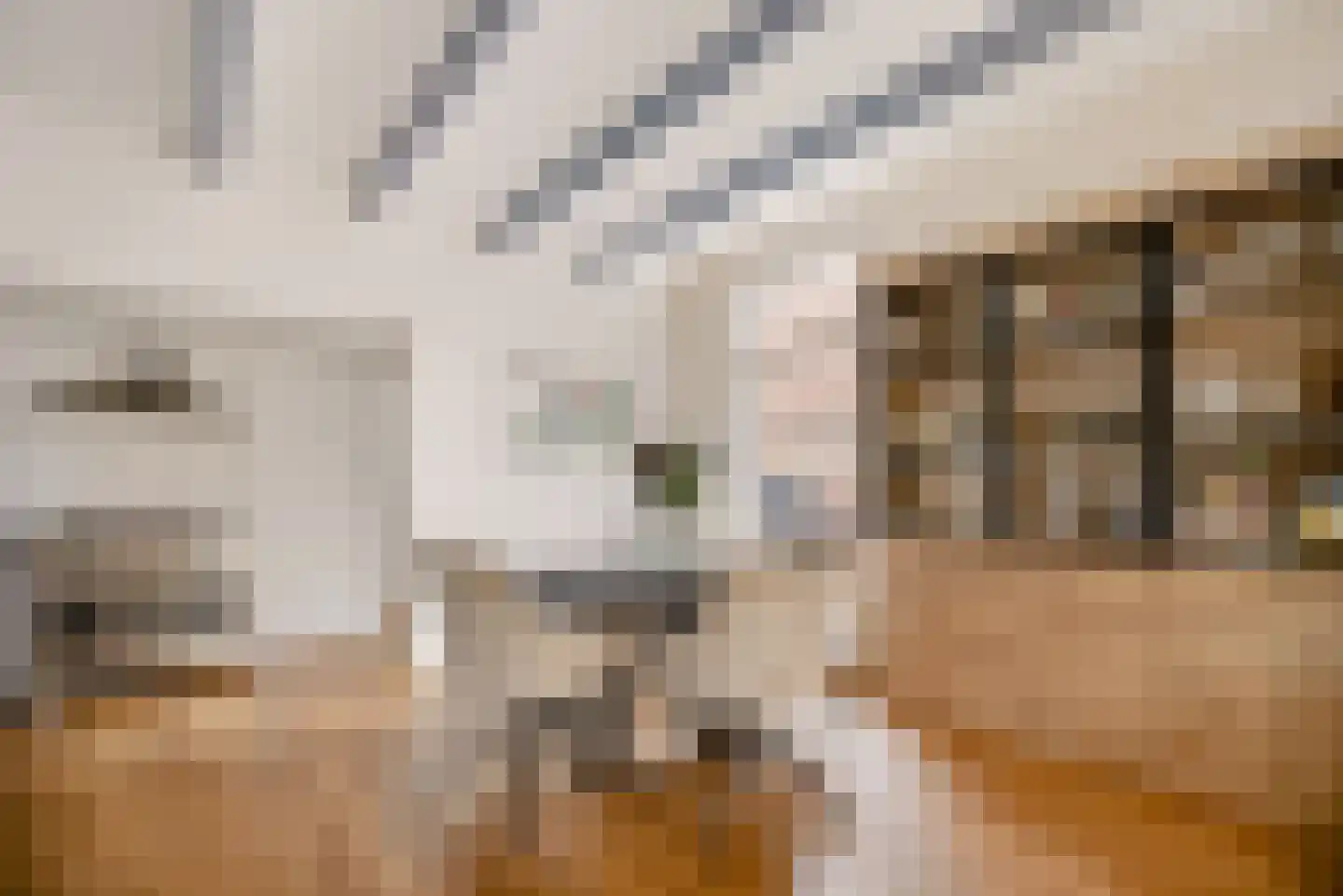 Vermaningsteeg 2 Hippolytushoef thumbnail 19