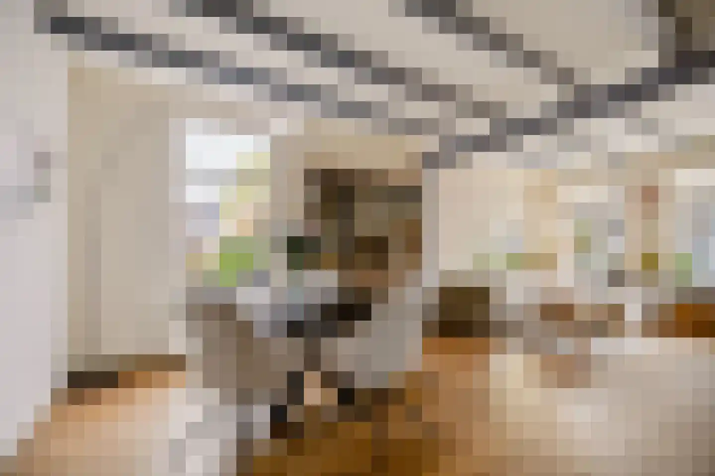 Vermaningsteeg 2 Hippolytushoef thumbnail 21