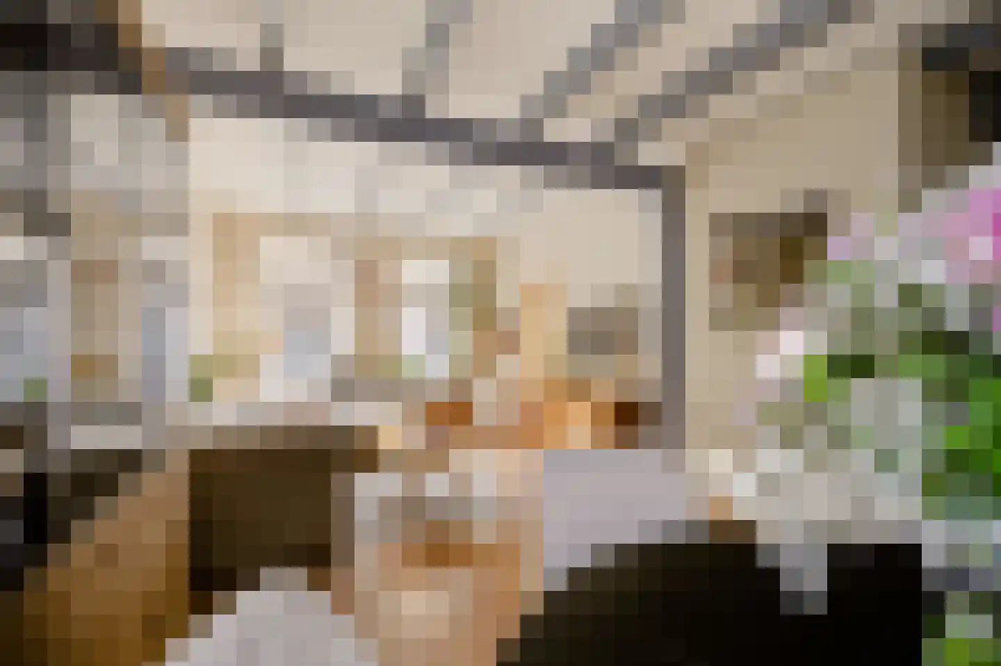 Vermaningsteeg 2 Hippolytushoef thumbnail 22