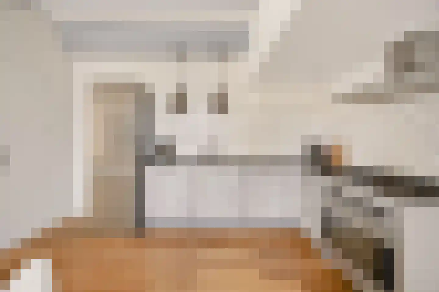 Vermaningsteeg 2 Hippolytushoef thumbnail 23