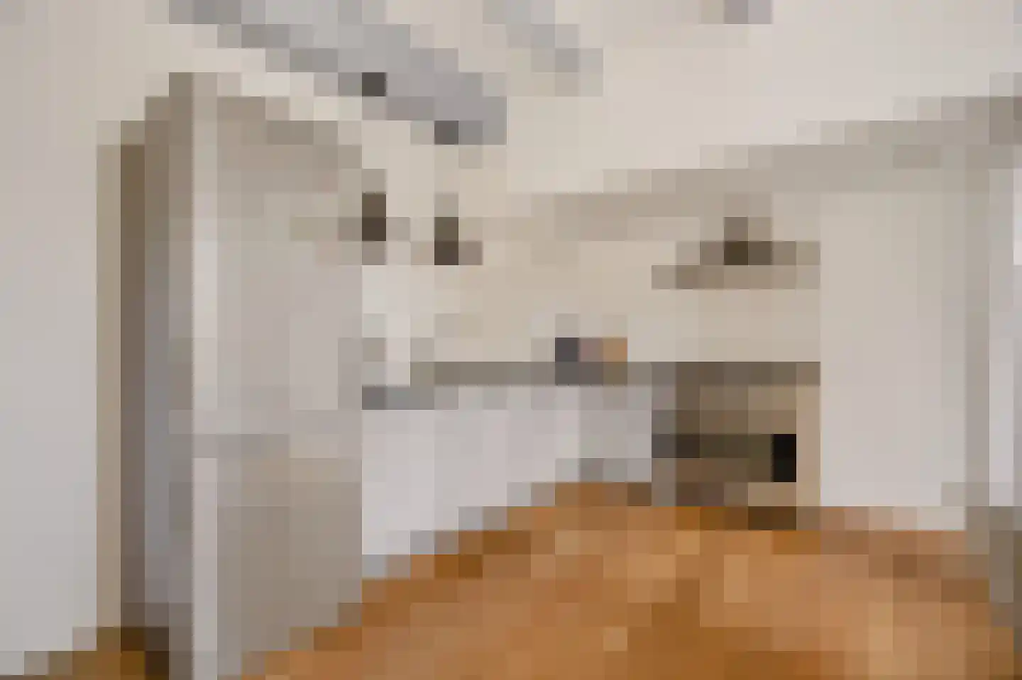 Vermaningsteeg 2 Hippolytushoef thumbnail 25