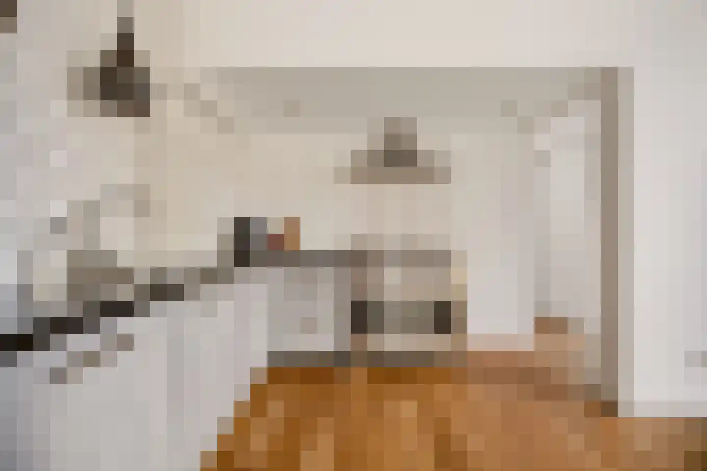 Vermaningsteeg 2 Hippolytushoef thumbnail 26