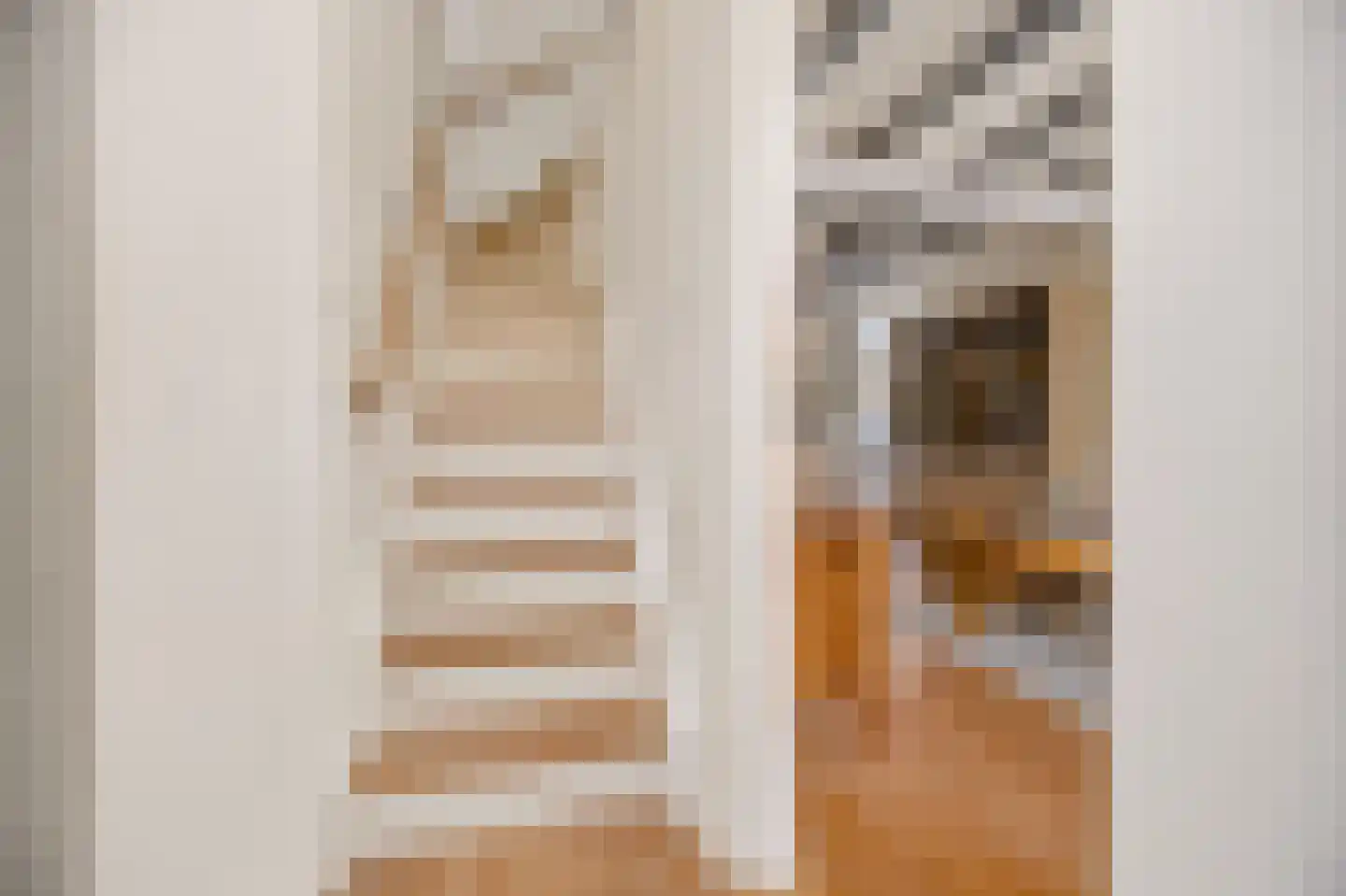 Vermaningsteeg 2 Hippolytushoef thumbnail 30