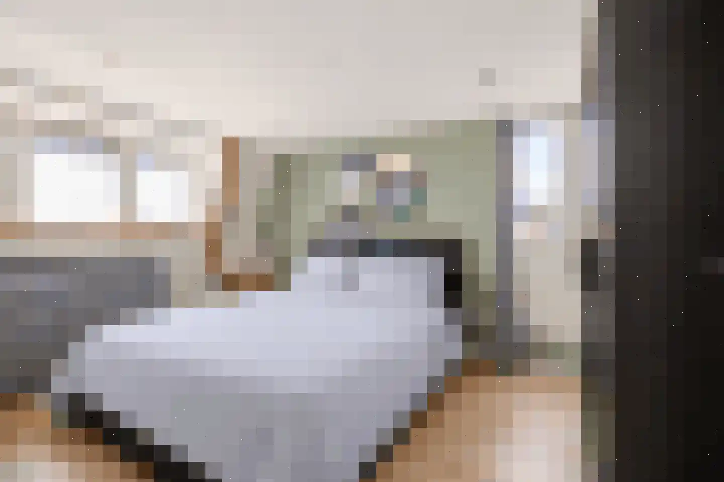 Vermaningsteeg 2 Hippolytushoef thumbnail 31