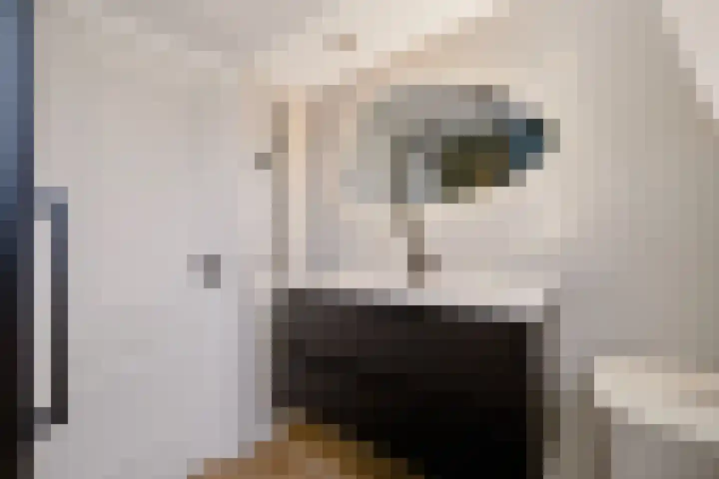 Vermaningsteeg 2 Hippolytushoef thumbnail 38