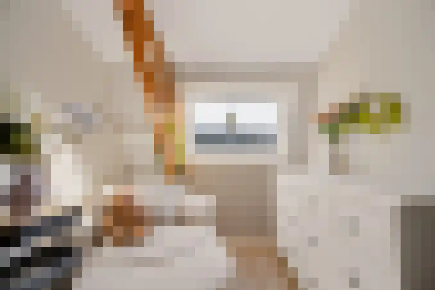 Vermaningsteeg 2 Hippolytushoef thumbnail 41