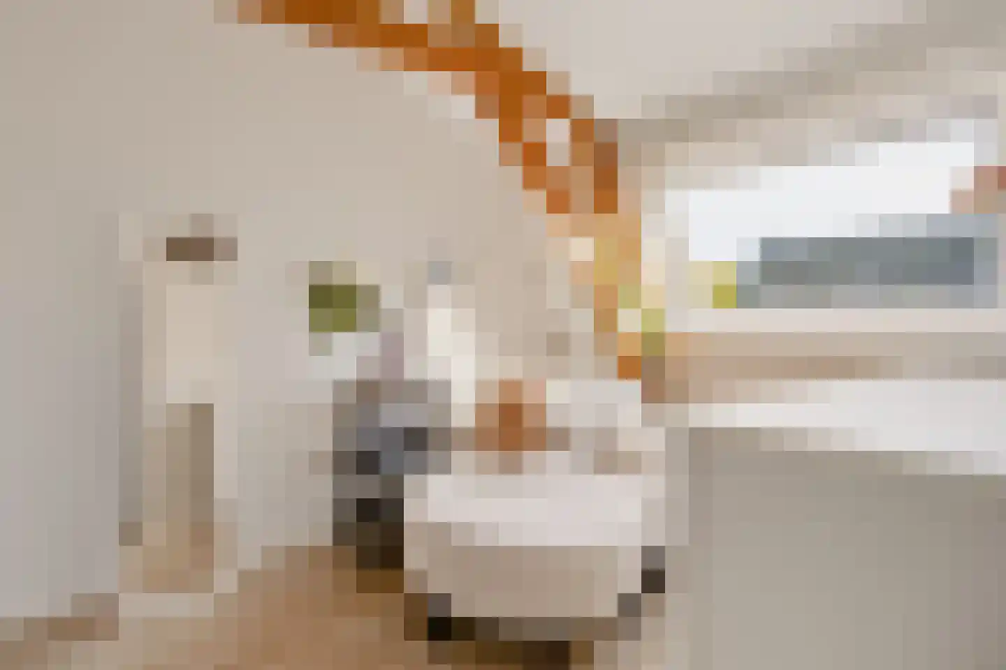 Vermaningsteeg 2 Hippolytushoef thumbnail 43