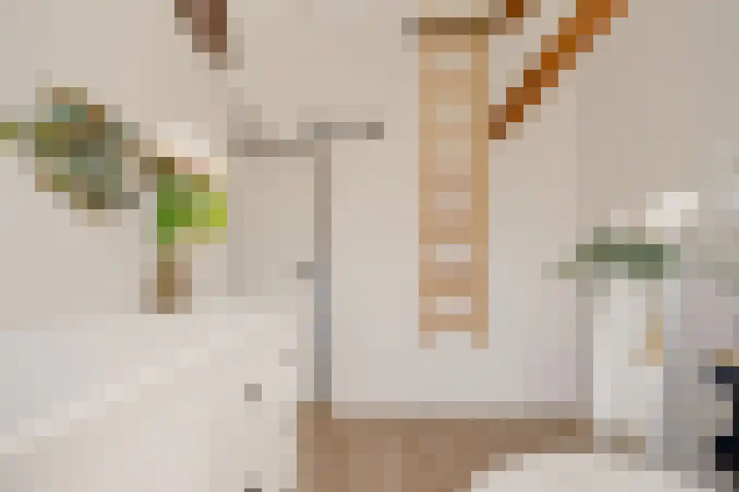 Vermaningsteeg 2 Hippolytushoef thumbnail 44