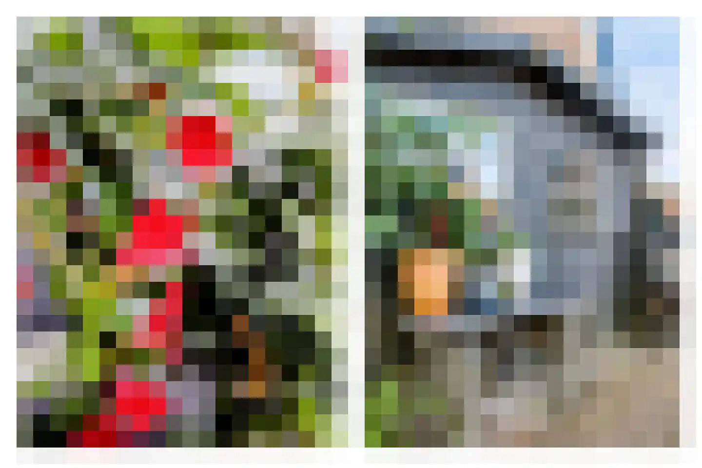 Vermaningsteeg 2 Hippolytushoef thumbnail 45