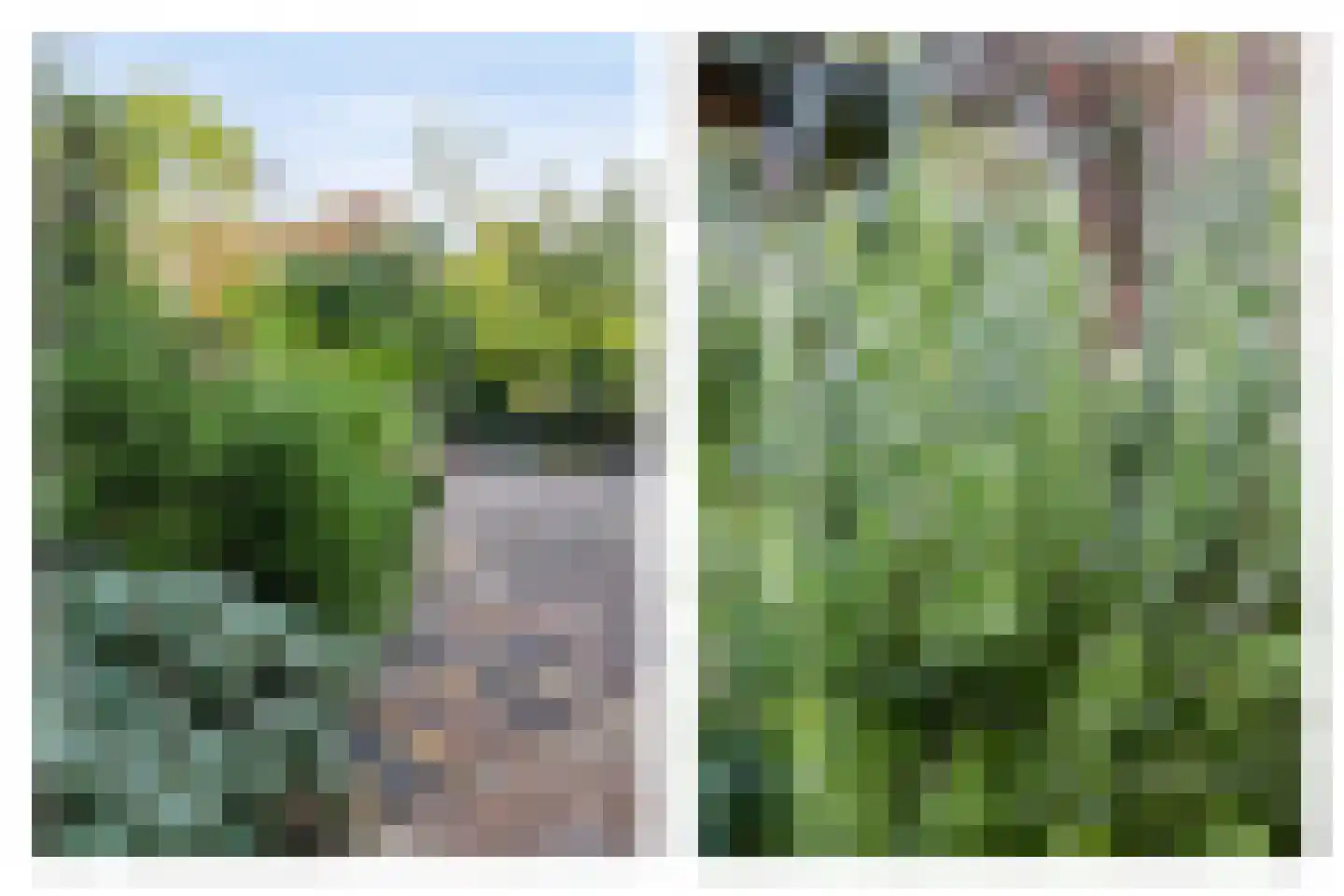 Vermaningsteeg 2 Hippolytushoef thumbnail 47