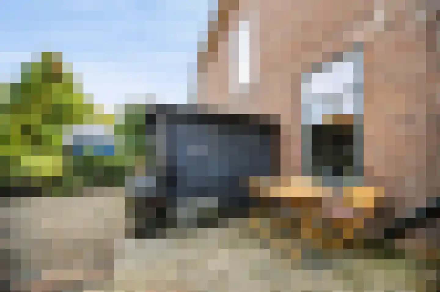 Vermaningsteeg 2 Hippolytushoef thumbnail 48