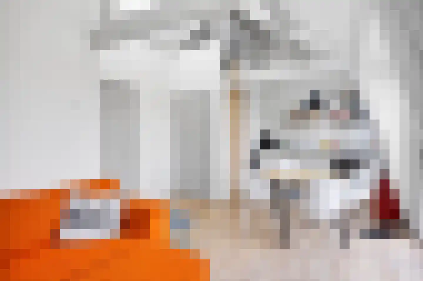 Vermaningsteeg 5 A Makkum thumbnail 8