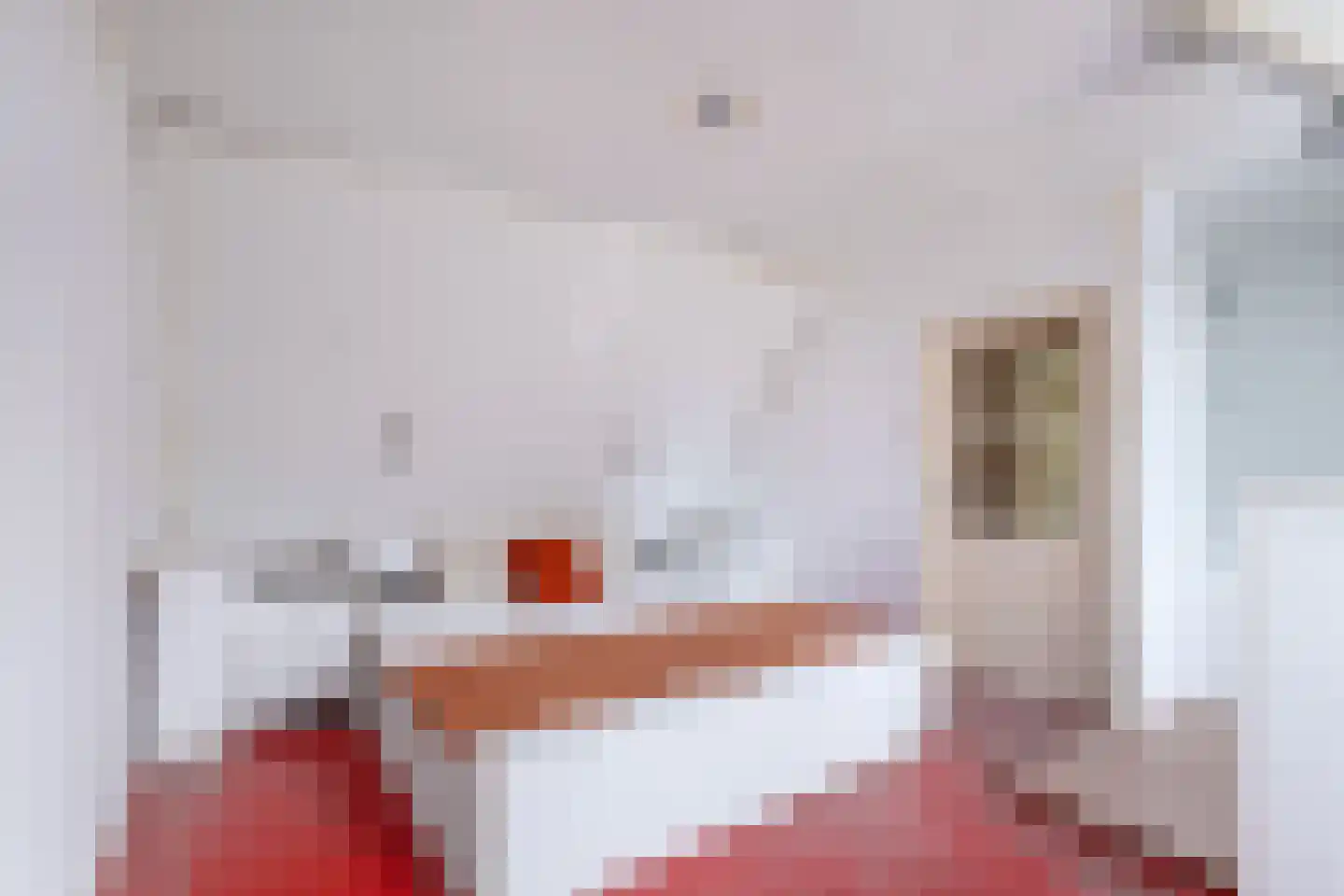 Vermaningsweg 27 Koudum thumbnail 4