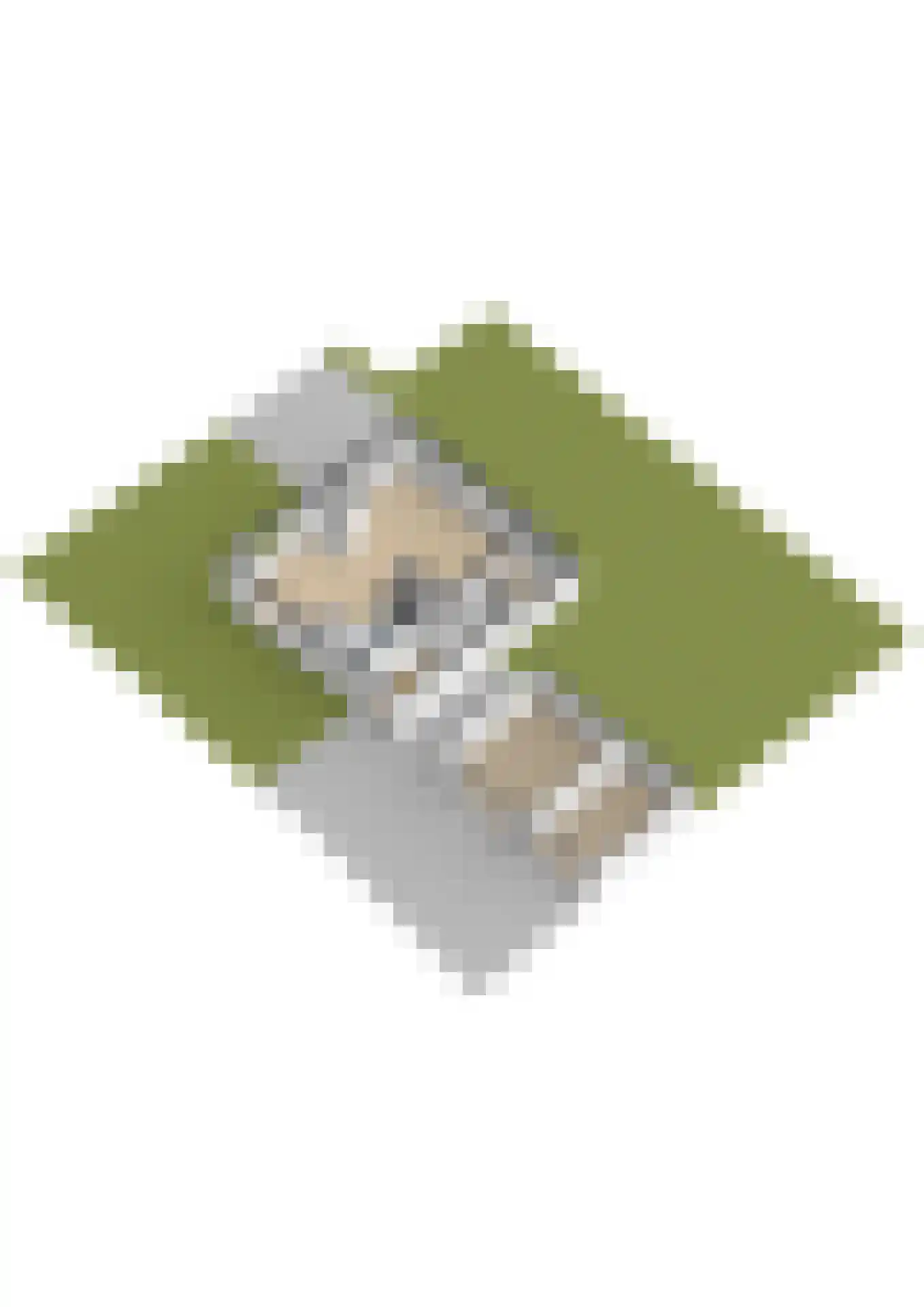Vermaningsweg 27 Koudum thumbnail 59